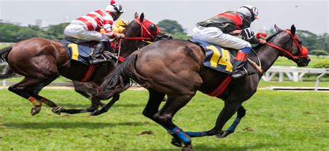 singapore pools horse racing|Singapore Pools .